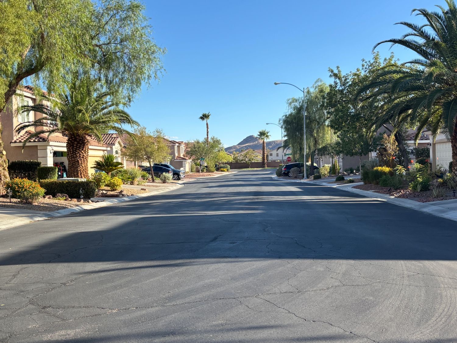 Residential street in Southern Terrace with mature landscaping, palm trees, and mountains in the distance